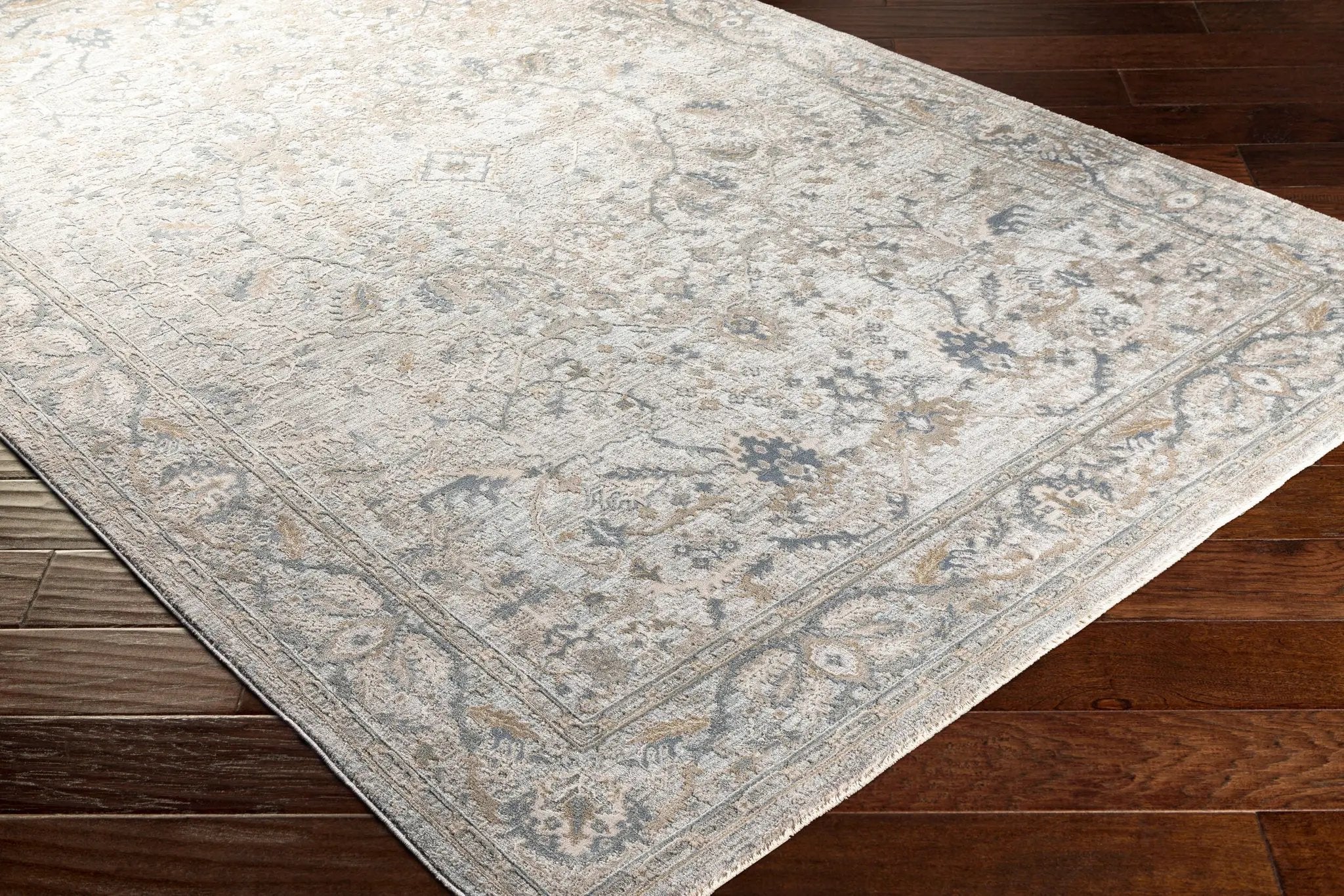 Brunswick BWK-2313 Light Beige Area Rug by LIVABLISS