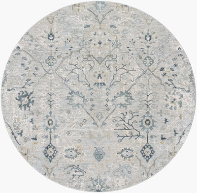 Brunswick BWK-2316 Dusty Sage Area Rug by LIVABLISS