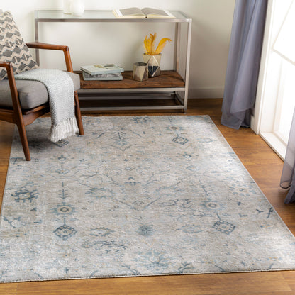 LIVABLISS Brunswick BWK-2316 Dusty Sage Area Rug
