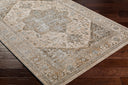 Surya Brunswick BWK-2320 Light Beige Area Rug by LIVABLISS