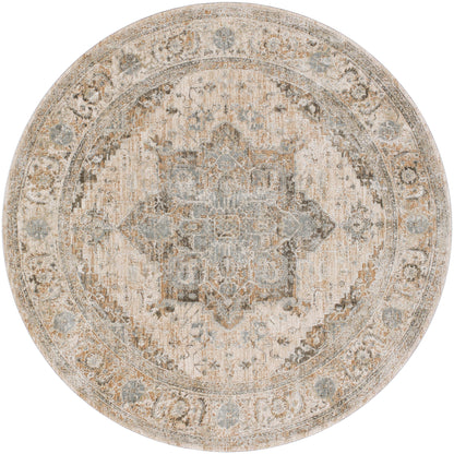 Surya Brunswick BWK-2320 Light Beige Area Rug by LIVABLISS