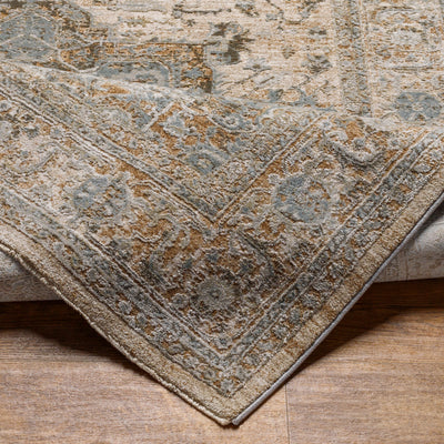 Surya Brunswick BWK-2320 Light Beige Area Rug by LIVABLISS
