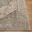 Surya Brunswick BWK-2320 Light Beige Area Rug by LIVABLISS