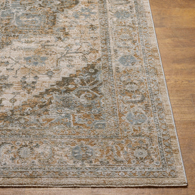 Surya Brunswick BWK-2320 Light Beige Area Rug by LIVABLISS