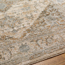 Surya Brunswick BWK-2320 Light Beige Area Rug by LIVABLISS