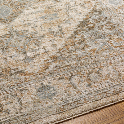 Surya Brunswick BWK-2320 Light Beige Area Rug by LIVABLISS