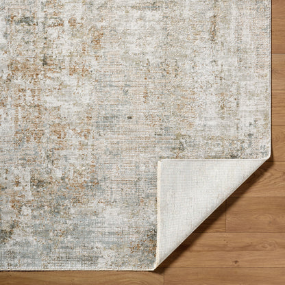 Surya Brunswick BWK-2338 Light Gray Area Rug by LIVABLISS