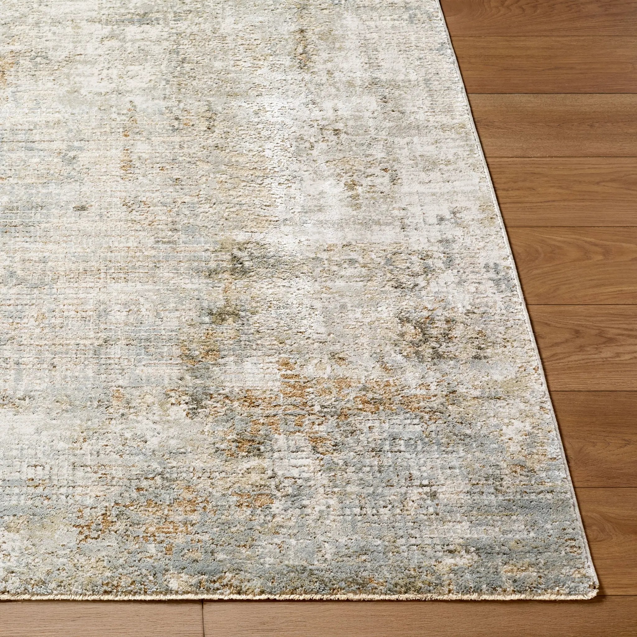 Brunswick BWK-2338 Light-Gray Area Rug by LIVABLISS