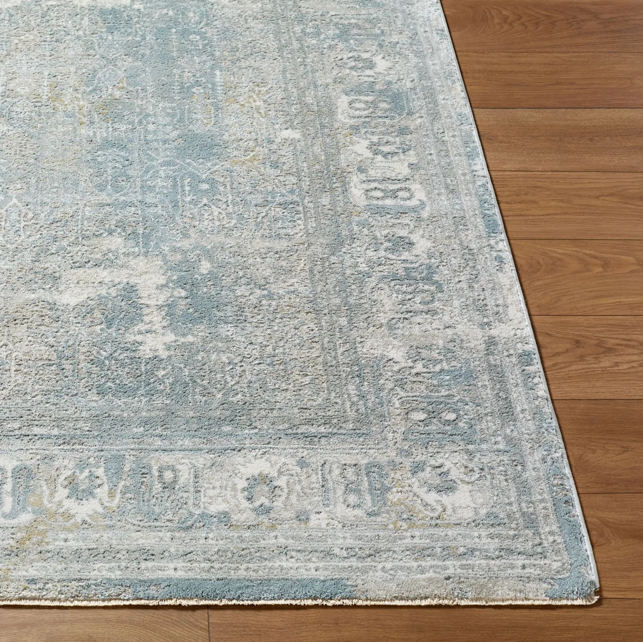 Brunswick BWK-2339 Cream Area Rug by LIVABLISS