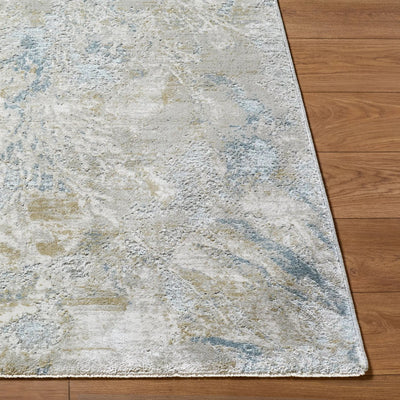 Brunswick BWK-2341 Light-Gray Area Rug by LIVABLISS