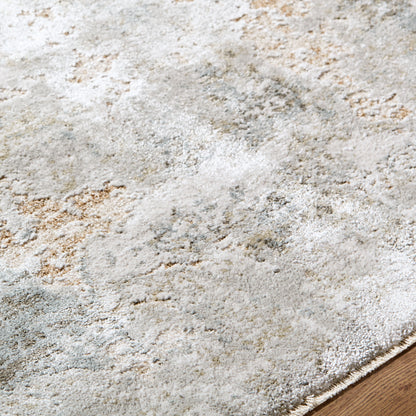 LIVABLISS Brunswick BWK-2342 Area Rug