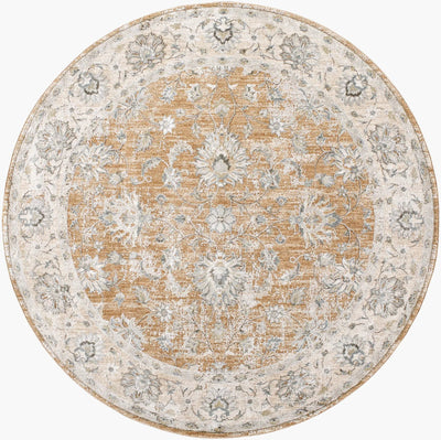 Brunswick BWK-2343 Light Brown Area Rug by LIVABLISS
