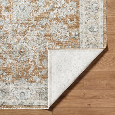 Brunswick BWK-2343 Light Brown Area Rug by LIVABLISS