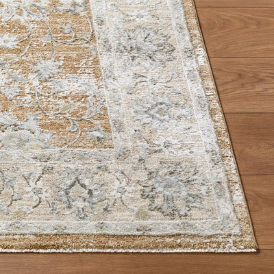 Brunswick BWK-2343 Light Brown Area Rug by LIVABLISS