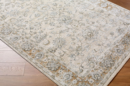 LIVABLISS Brunswick BWK-2344 Light Gray Area Rug