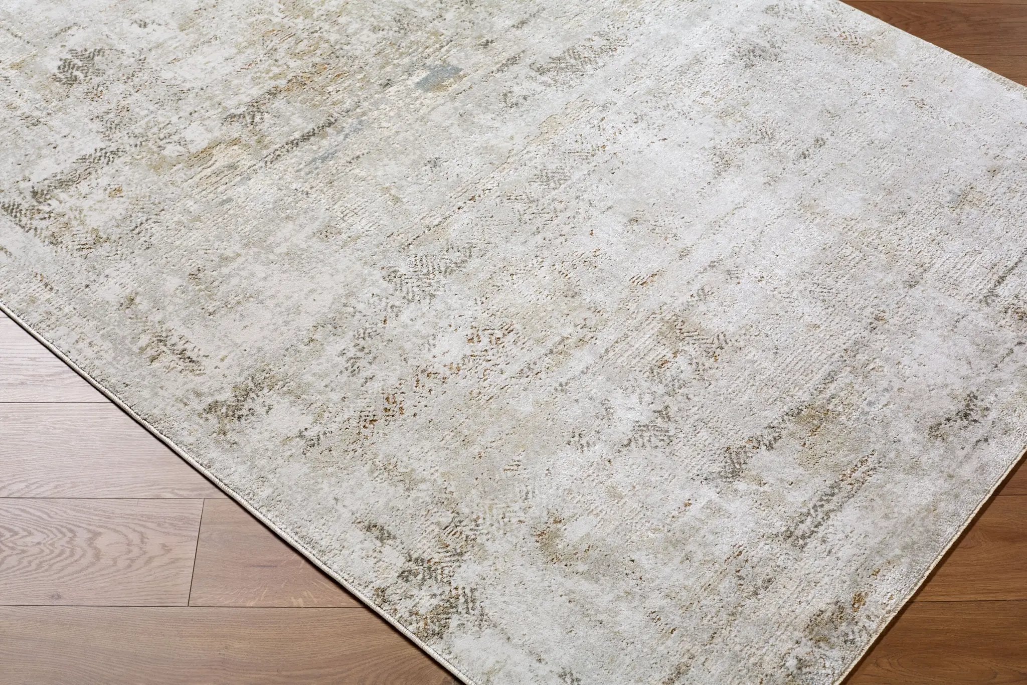 Brunswick BWK-2346 Light-Gray Area Rug by LIVABLISS