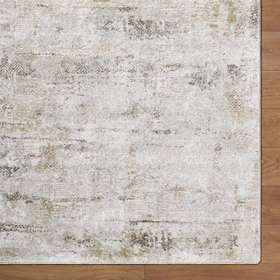 Surya Brunswick BWK-2346 Light Gray Area Rug by LIVABLISS