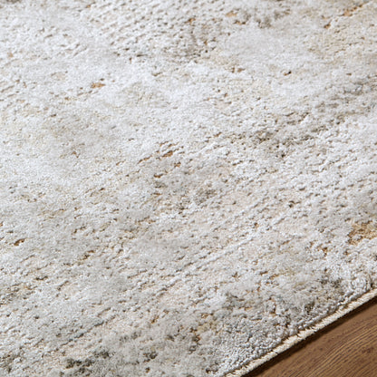 Surya Brunswick BWK-2346 Light Gray Area Rug by LIVABLISS