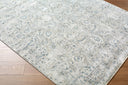 Surya Brunswick BWK-2349 Light Gray Area Rug by LIVABLISS