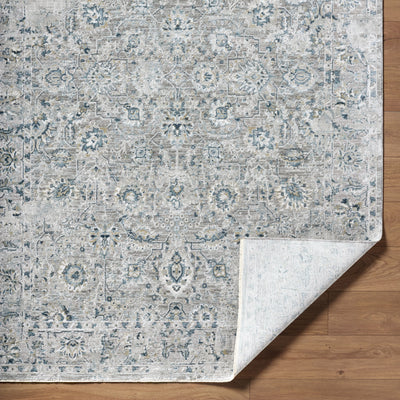 Surya Brunswick BWK-2349 Light Gray Area Rug by LIVABLISS