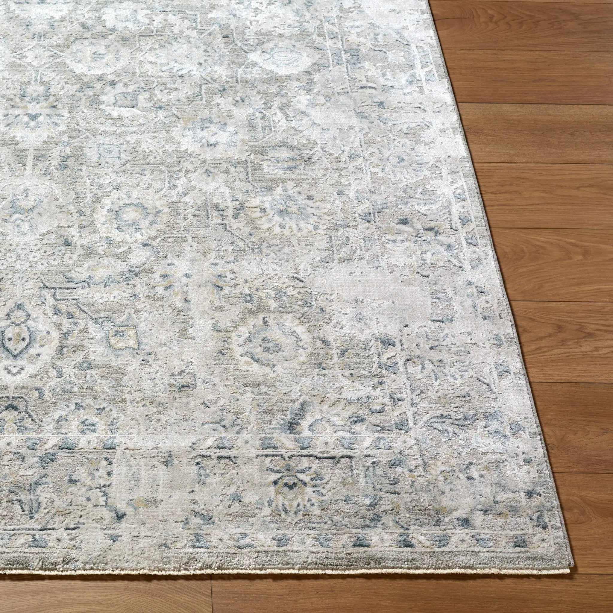 Brunswick BWK-2349 Light-Gray Area Rug by LIVABLISS