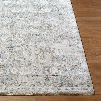 Surya Brunswick BWK-2349 Light Gray Area Rug by LIVABLISS