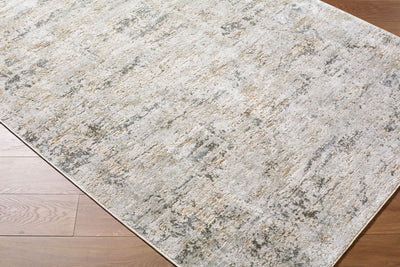 Surya Brunswick BWK-2350 Cream Area Rug by LIVABLISS