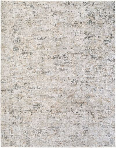 Surya Brunswick BWK-2350 Cream Area Rug by LIVABLISS