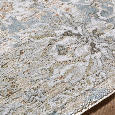 Surya Brunswick BWK-2351 Light Gray Area Rug by LIVABLISS