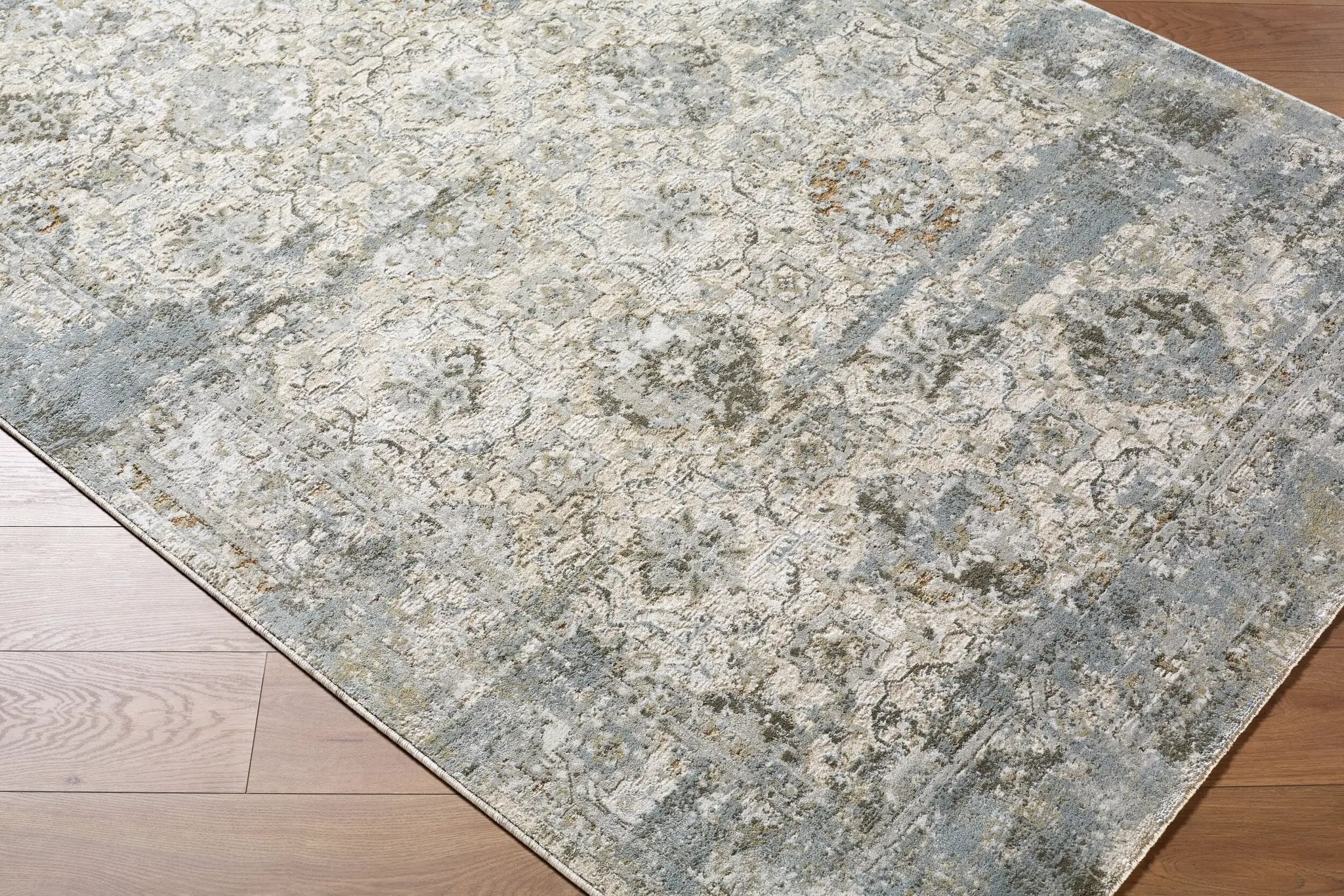 Brunswick BWK-2352 Light-Gray Area Rug by LIVABLISS