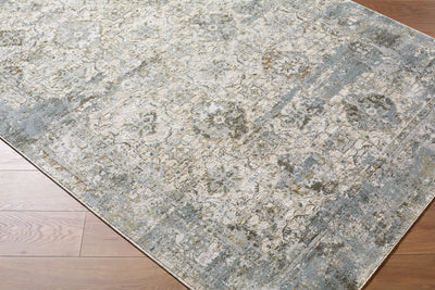Surya Brunswick BWK-2352 Light Gray Area Rug by LIVABLISS