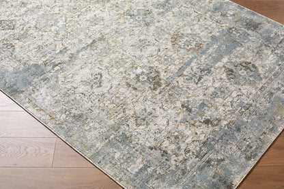 Surya Brunswick BWK-2352 Light Gray Area Rug by LIVABLISS
