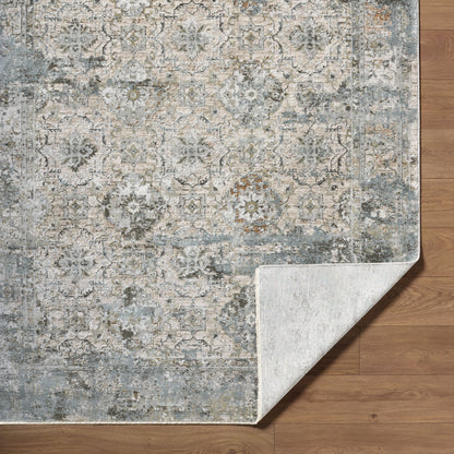 Surya Brunswick BWK-2352 Light Gray Area Rug by LIVABLISS