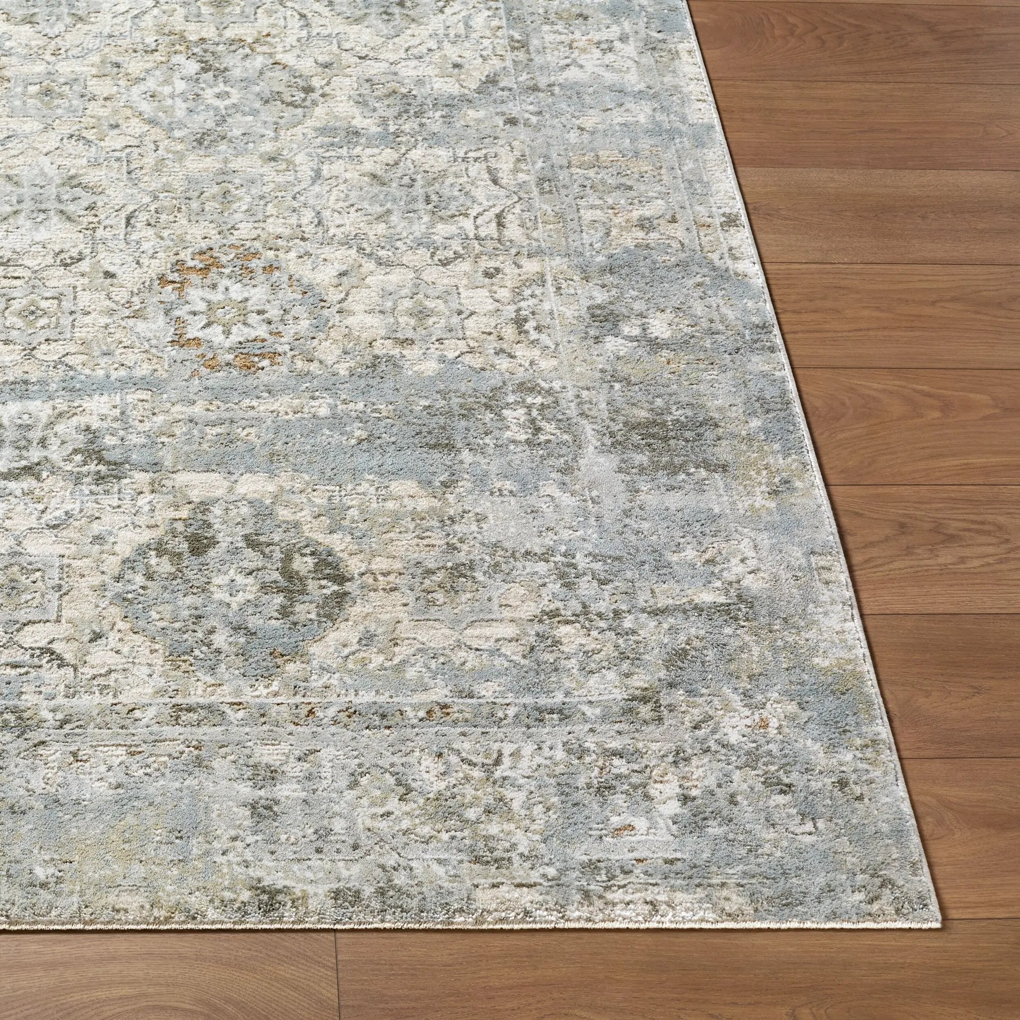 Brunswick BWK-2352 Light-Gray Area Rug by LIVABLISS