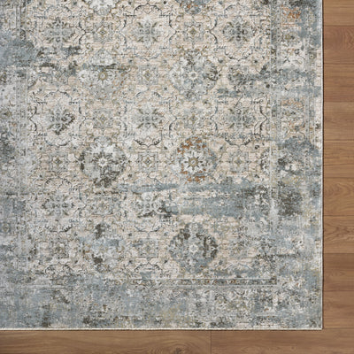 Surya Brunswick BWK-2352 Light Gray Area Rug by LIVABLISS