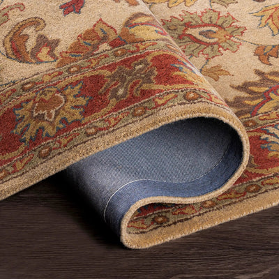 Caesar CAE-1001 Tan Area Rug by LIVABLISS