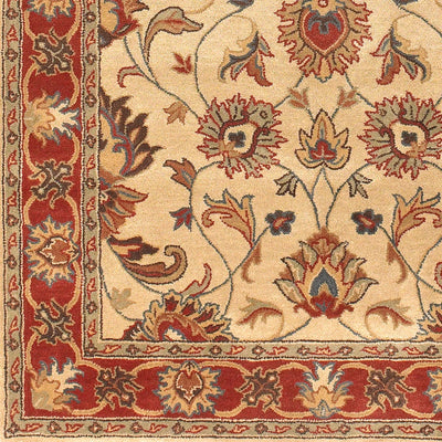 Caesar CAE-1001 Tan Area Rug by LIVABLISS