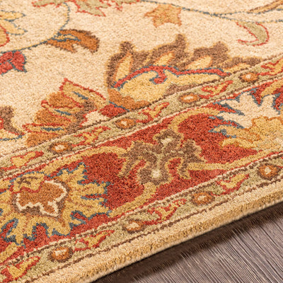 Caesar CAE-1001 Tan Area Rug by LIVABLISS