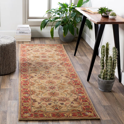 Caesar CAE-1001 Tan Area Rug by LIVABLISS