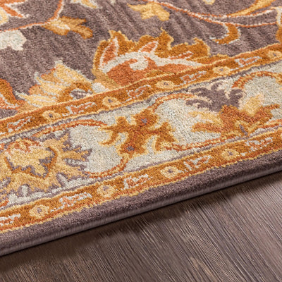 Caesar CAE-1004 Charcoal Area Rug by LIVABLISS