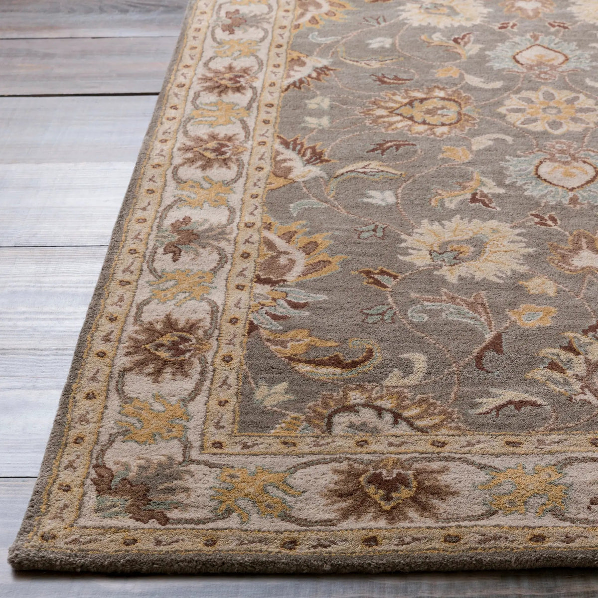 Caesar CAE-1005 Charcoal Area Rug by LIVABLISS