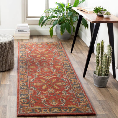 Caesar CAE-1007 Rust Area Rug by LIVABLISS