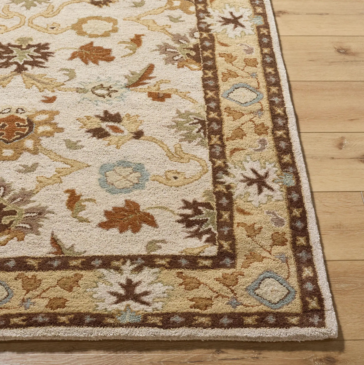 Caesar CAE-1010 Light-Beige Area Rug by LIVABLISS