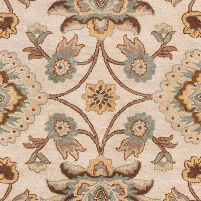 Caesar CAE-1012 Tan Area Rug by LIVABLISS