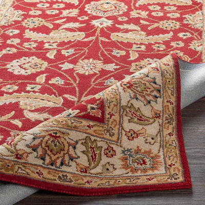 Caesar CAE-1022 Rust Area Rug by LIVABLISS