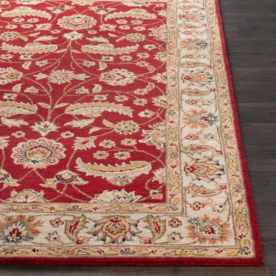 Caesar CAE-1022 Rust Area Rug by LIVABLISS