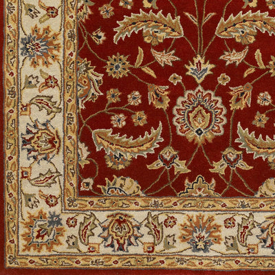 Caesar CAE-1022 Rust Area Rug by LIVABLISS