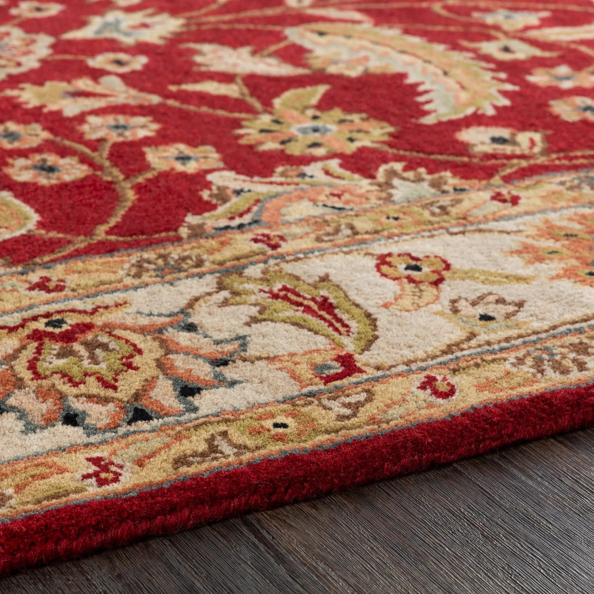 Caesar CAE-1022 Rust Area Rug by LIVABLISS