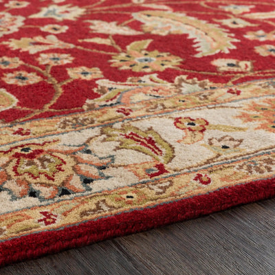 Caesar CAE-1022 Rust Area Rug by LIVABLISS