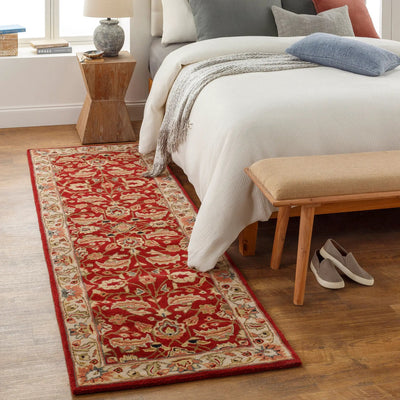 Caesar CAE-1022 Rust Area Rug by LIVABLISS
